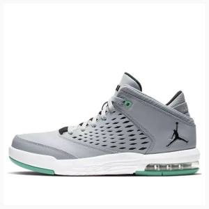 Grey / Green Men's Nike Flight Origin 4 Basketball Shoes Air Jordan | JD-079LS