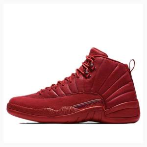 Red Men's Nike Retro Gym Basketball Shoes Air Jordan 12 | JD-058FD