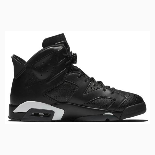 Black Men's Nike Retro Cat Basketball Shoes Air Jordan 6 | JD-496UQ