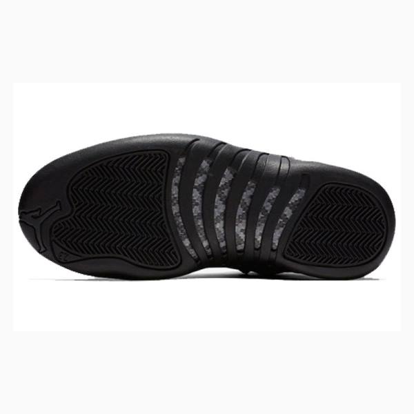 Black Men's Nike Retro WNTR Winterized - Anthracite Basketball Shoes Air Jordan 12 | JD-145PW