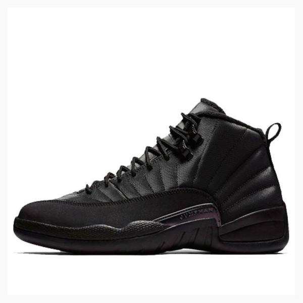 Black Men\'s Nike Retro WNTR Winterized - Anthracite Basketball Shoes Air Jordan 12 | JD-145PW