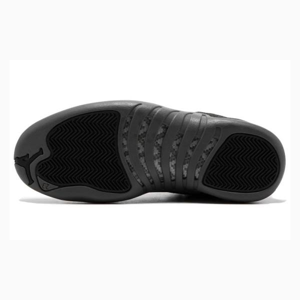 Black Men's Nike Retro Wool Basketball Shoes Air Jordan 12 | JD-982TI