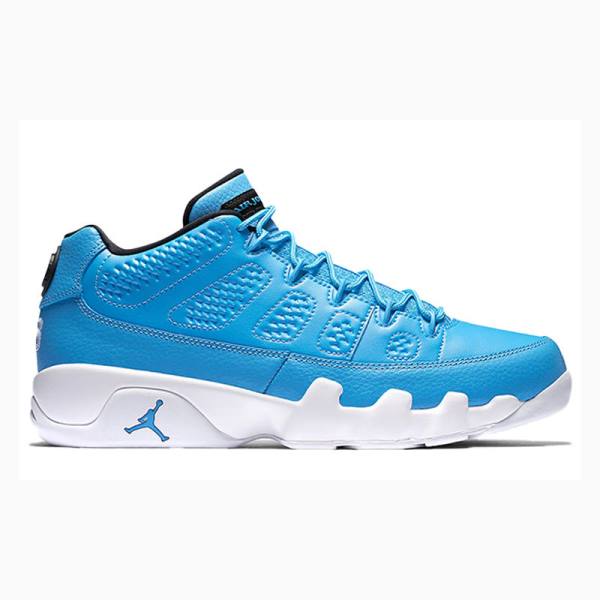 Blue Men's Nike Retro Low Pantone Sneakers Air Jordan 9 | JD-025FI