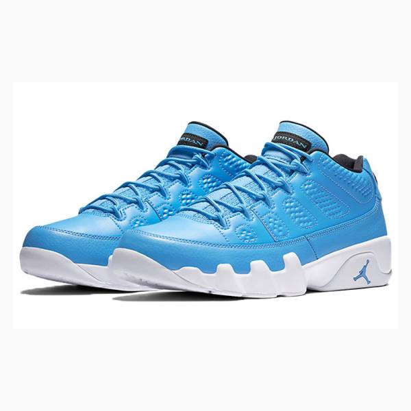 Blue Men's Nike Retro Low Pantone Sneakers Air Jordan 9 | JD-025FI