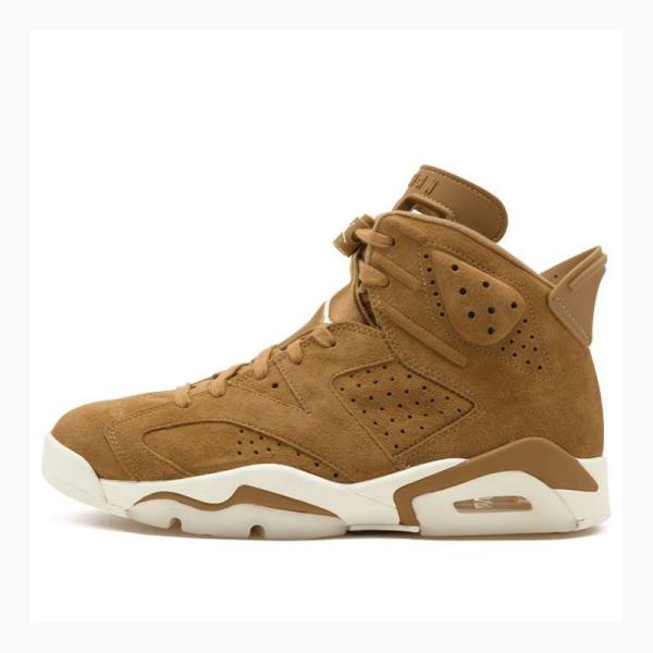 Brown Men\'s Nike Retro Wheat Basketball Shoes Air Jordan 6 | JD-027NC