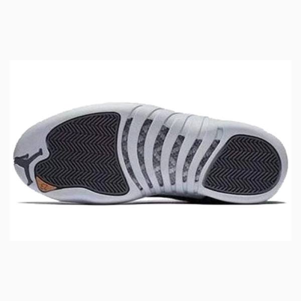 Dark Grey Men's Nike Retro Basketball Shoes Air Jordan 12 | JD-843YP