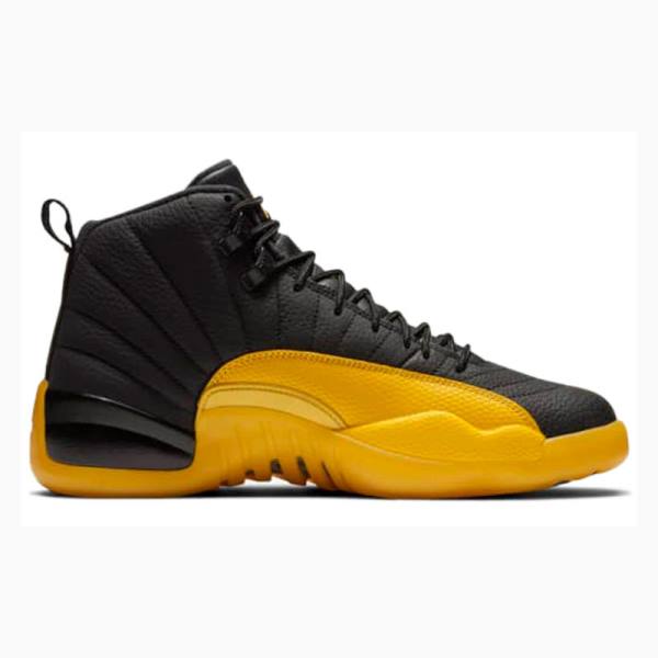 Gold / Black Men's Nike Retro Basketball Shoes Air Jordan 12 | JD-401WY