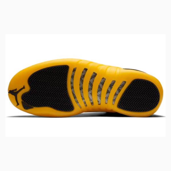 Gold / Black Men's Nike Retro Basketball Shoes Air Jordan 12 | JD-401WY