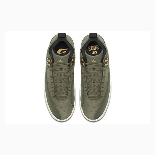 Green Men's Nike Retro Chris Paul - Class of 2003 Basketball Shoes Air Jordan 12 | JD-178NF