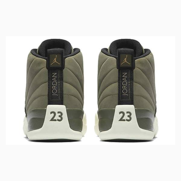 Green Men's Nike Retro Chris Paul - Class of 2003 Basketball Shoes Air Jordan 12 | JD-178NF