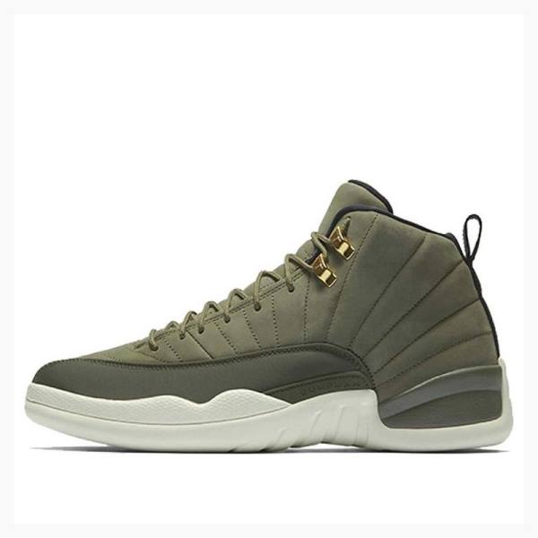 Green Men\'s Nike Retro Chris Paul - Class of 2003 Basketball Shoes Air Jordan 12 | JD-178NF