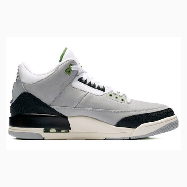 Grey / Black Men's Nike Retro Chlorophyll Basketball Shoes Air Jordan 3 | JD-207TQ