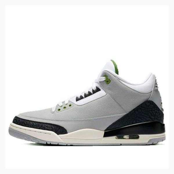 Grey / Black Men\'s Nike Retro Chlorophyll Basketball Shoes Air Jordan 3 | JD-207TQ