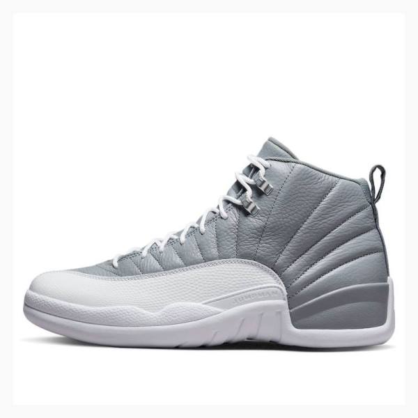 Grey Men\'s Nike Retro Stealth Basketball Shoes Air Jordan 12 | JD-025SN