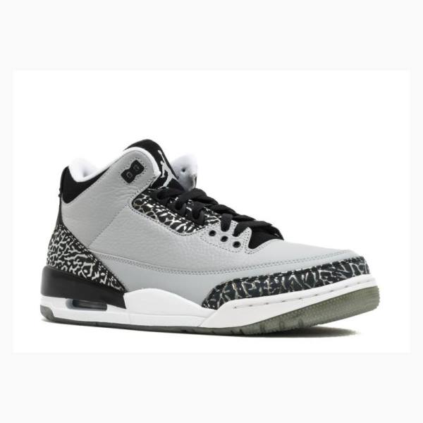 Grey Men's Nike Retro Wolf Basketball Shoes Air Jordan 3 | JD-560UI