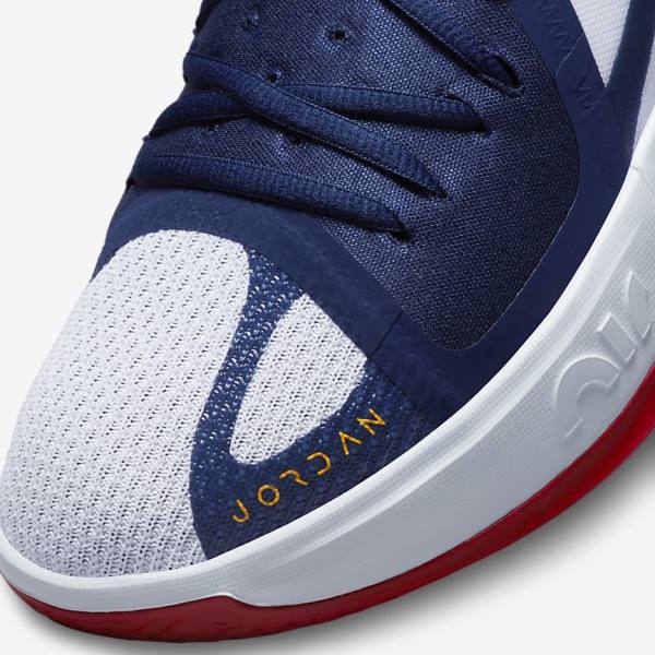 Navy / White / Red / Gold Men's Nike Zoom Separate Air Jordan | NK895XWY