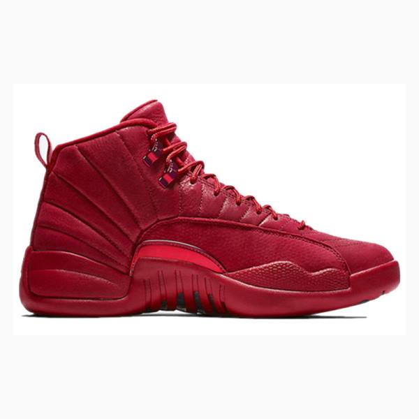 Red Men's Nike Retro Gym Basketball Shoes Air Jordan 12 | JD-058FD