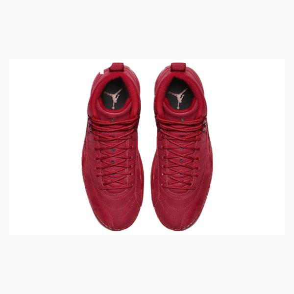 Red Men's Nike Retro Gym Basketball Shoes Air Jordan 12 | JD-058FD