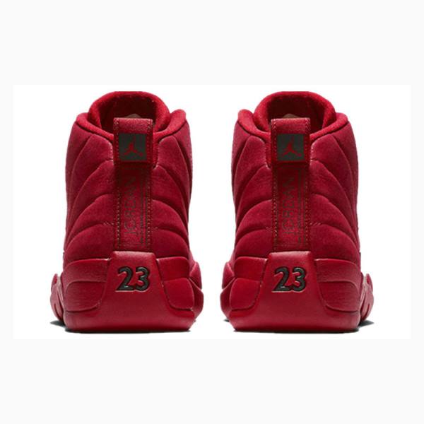 Red Men's Nike Retro Gym Basketball Shoes Air Jordan 12 | JD-058FD