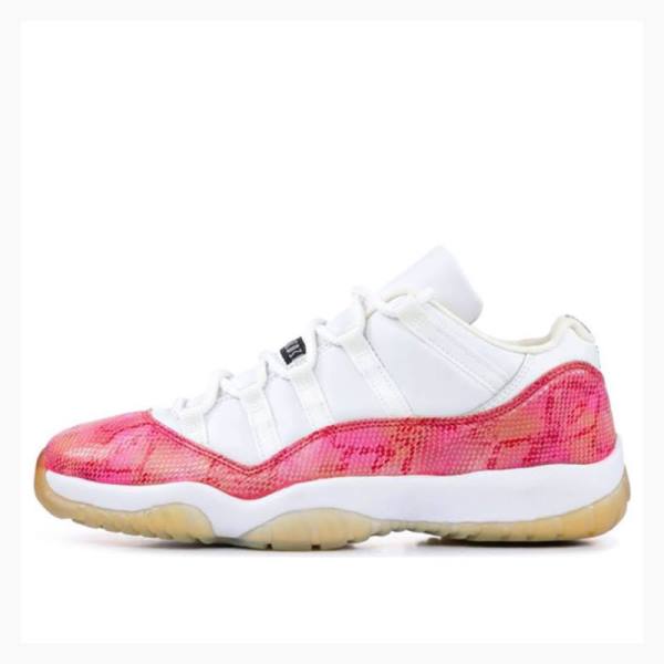 White / Pink Women\'s Nike Retro Low \'Snakeskin\' Sneakers Air Jordan 11 | JD-240CP